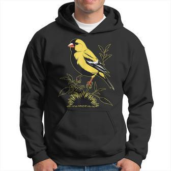 Ventage American Goldfinch Graphic Cute American Goldfinch Hoodie | Mazezy