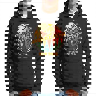 Vintage Averill Park New York Mountain Hiking Souvenir Print Hoodie | Mazezy