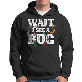 Wait I See A Bug Entomology Insect Collector Entomologist Hoodie | Mazezy
