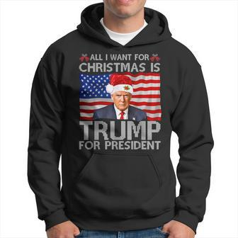 All I Want For Christmas Is A New President Trump 2024 Xmas Hoodie - Monsterry