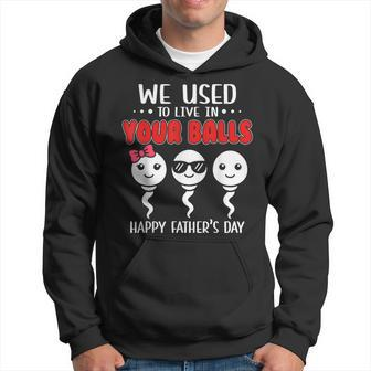 We Used To Live In Your Balls Happy Fathers Day Funny Hoodie - Seseable