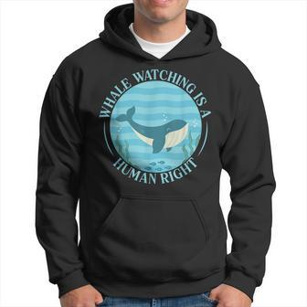 Whale Watching Is A Human Right Whale Lover Marine Scientist Hoodie | Mazezy