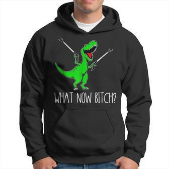 What Now Bitch Funny T Rex Dinosaur Hoodie - Monsterry UK