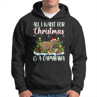 Xmas Lighting Santa All I Want For Christmas Is A Capybara Hoodie - Thegiftio UK