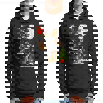 Xmas Lighting Tree Santa Riding Abyssinian Cat Christmas Hoodie - Thegiftio