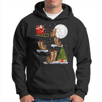 Xmas Lighting Tree Santa Riding Abyssinian Cat Christmas Hoodie - Thegiftio UK