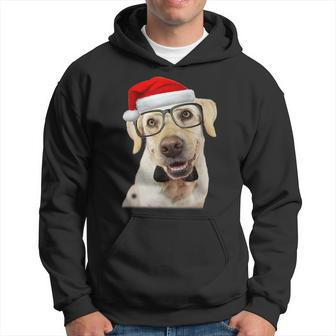 Yellow Lab Glasses Santa Hat Christmas Labrador Retriever Hoodie - Seseable