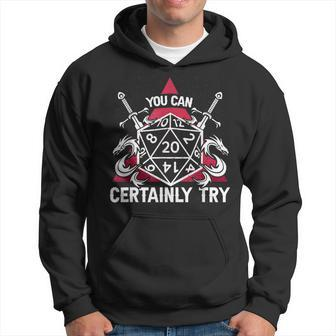 You Can Certainly Try D20 Dice Funny Rpg Dragons Gamer Gift Hoodie - Seseable