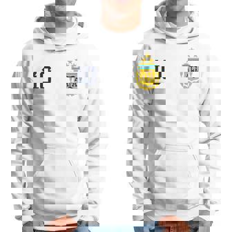 Argentina 3 Stars Argentinian Flag Three Stars 10 Argentina Hoodie - Seseable
