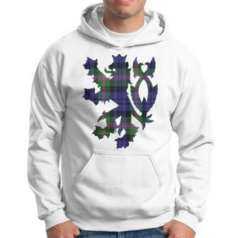 Clan Baird Tartan Scottish Family Name Scotland Pride Pride Month Funny Designs Funny Gifts Hoodie | Mazezy