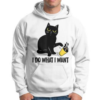 Funny Black Cat I Do What I Want Cat Lover Gifts Hoodie - Seseable