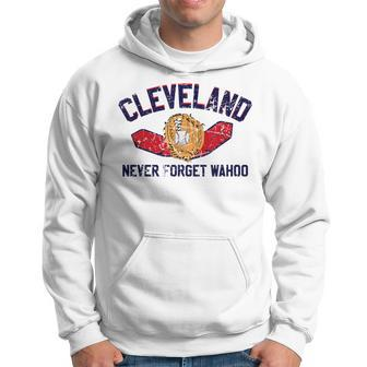 Funny Cleveland Never Forget Wahoo Baseball Antipc Baseball Funny Gifts Hoodie | Mazezy