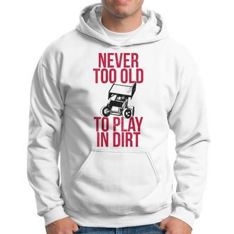 Funny Sprint Car Driver Team Racing Play Dirt Track Driver Funny Gifts Hoodie | Mazezy AU