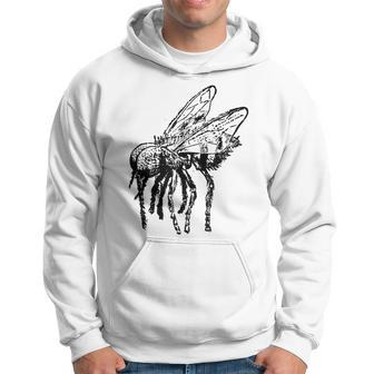 House Fly Fun Vintage Insect Bug Apparel Hoodie | Mazezy