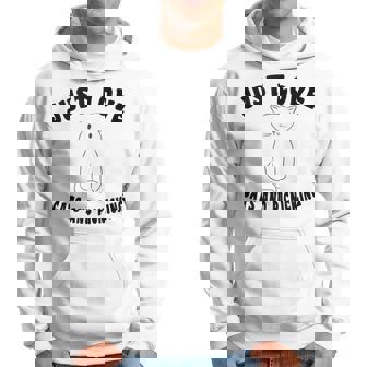 Just Love Cats And Picnicking Cat-Saying Hoodie | Mazezy