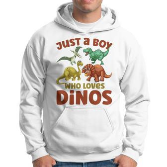 Kids Dinosaur Just A Boy Who Loves Dinos T Rex Kids Dinosaur Funny Gifts Hoodie | Mazezy