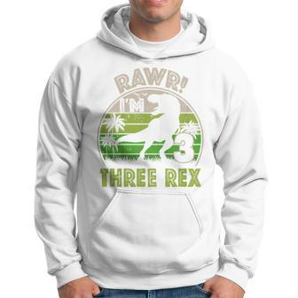 Kids Three Rex Birthday Party Outfit Dinosaur 3 Year Old Boy Hoodie - Seseable