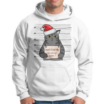 I Knocked Over The Christmas Tree Fat Cat Shot Hoodie | Mazezy