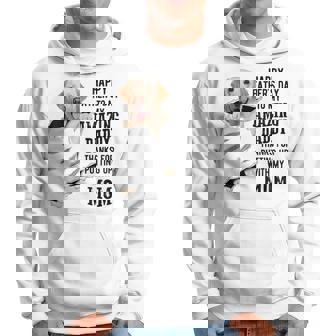 Labrador Dad Happy Fathers Day To My Amazing Daddy Dog Gift For Mens Hoodie | Mazezy