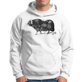Musk Ox Arctic Buffalo Muskox Bovidae Hoodie | Mazezy