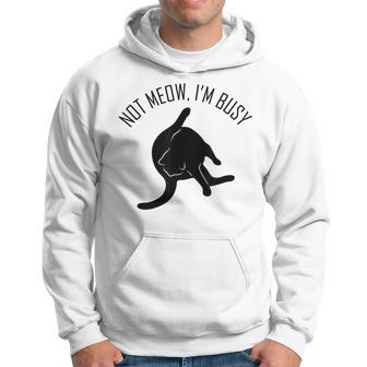 Not Meow I'm Busy Cat Hoodie | Mazezy