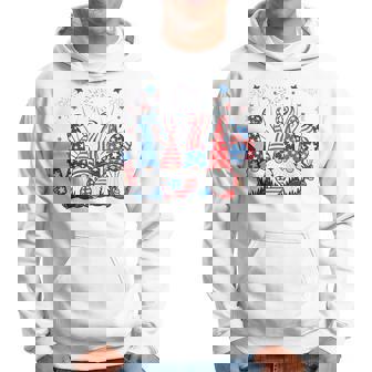Patriotic Gnomes Fireworks Usa Independence Day 4Th Of July Hoodie | Mazezy