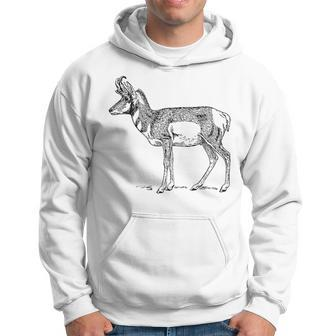 Pronghorn Antelope Hoodie | Mazezy
