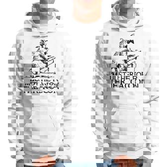 Raccoon & Hammered Dulcimer Hoodie | Mazezy