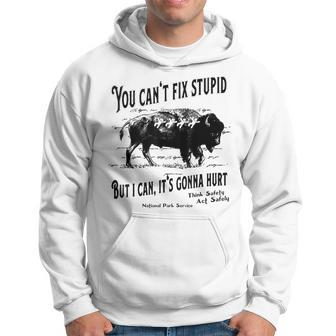 You Cant Fix Stupid But I Can Its Gonna Hurt Think Safety Hoodie - Thegiftio UK