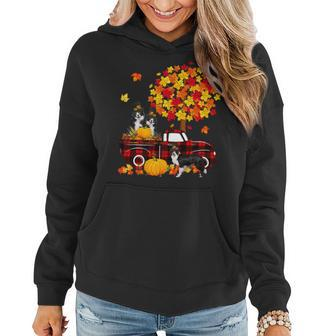 Dog Border Collie Three Border Collies On Pickup Truck Thanksgiving Fall Tree Women Hoodie - Monsterry CA