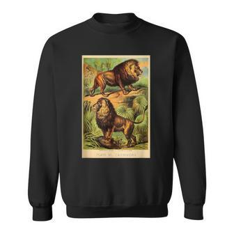 African Lion Asiatic Lion Vintage Animal Lithograph Sweatshirt | Mazezy