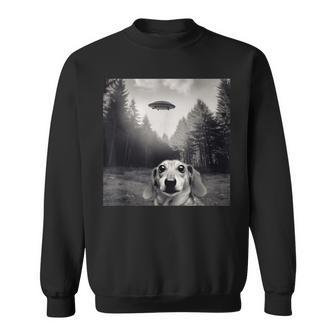 Alien Ufo Funny Dachshund Dog UFO Funny Gifts Sweatshirt | Mazezy