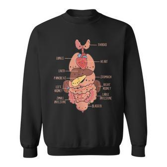 Anatomy Human Torso Cute Heart Lungs Organs Medical Graphic Sweatshirt - Seseable