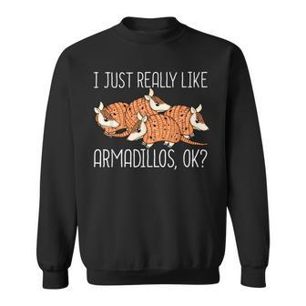 Armadillo Lover Kids Wildlife Animal Armadillo Sweatshirt | Mazezy AU