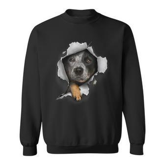 Australian Cattle Dog Dog Owner Dog Lover Dog Sweatshirt - Seseable
