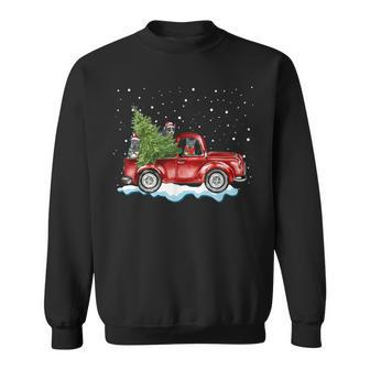 Australian Cattle Dogs Ride Red Truck Christmas Sweatshirt | Mazezy