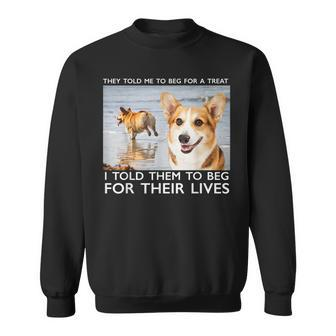 Beg For Their Lives Psycho Corgi Beach Graphic Sweatshirt | Mazezy