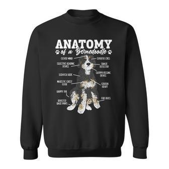 Bernedoodle Dog Anatomy Of A Bernedoodle Sweatshirt - Seseable