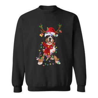 Bernese Mountain Christmas Lights Matching Family Dog Lover Sweatshirt - Monsterry