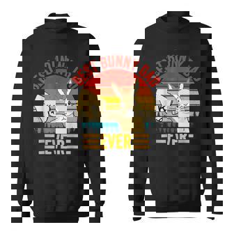 Best Bunny Dad Ever Vintage Rabbit Lover Father Day Gift For Mens Sweatshirt | Mazezy