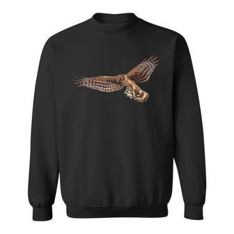 Birding Harrier Hawk Marsh Hawk Pocket-Style Emblem Sweatshirt | Mazezy DE