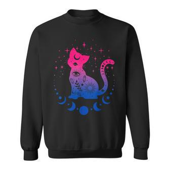 Bisexual Pride Flag Colors Astronomy Cat Sweatshirt | Mazezy