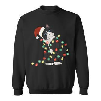 Black Cat Christmas Lights Cat Lover Xmas Pajama Sweatshirt - Seseable