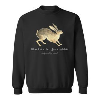 Black-Tailed Jackrabbit Portrait With Scientific Name Sweatshirt | Mazezy