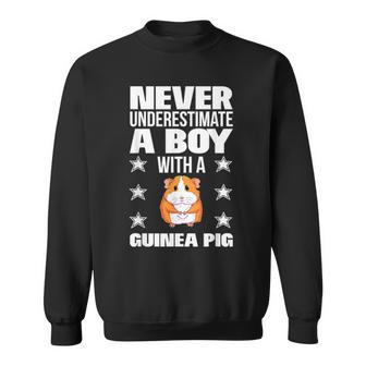 Boys Never Underestimate A Boy With A Guinea Pig Sweatshirt - Monsterry DE