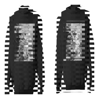 British Longhair Cat Cinematic Black And White Photography Sweatshirt | Mazezy