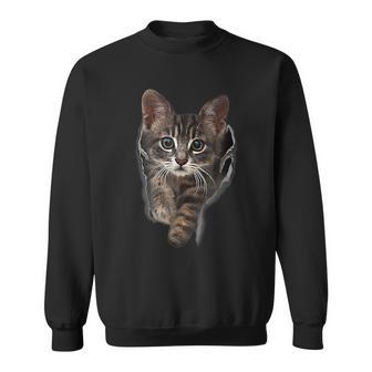 Brown-Kitten Staring-Cute Cats Sweatshirt | Mazezy