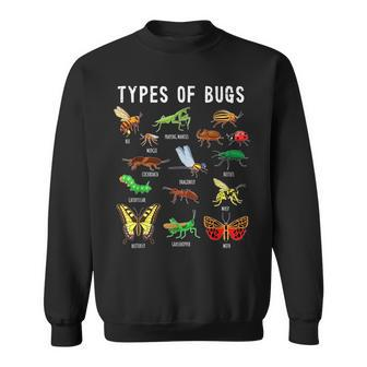 Bug Insect Lover Insect Bug Lover Sweatshirt - Thegiftio UK