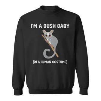 Bush Baby Costume Cute Bushbaby Sweatshirt | Mazezy