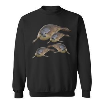 California Sea Lions Marine Mammal Seals Sweatshirt | Mazezy